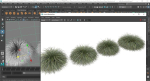 Plants Carex Elata Aurea Grass Version4