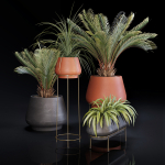 Plants Collection 01