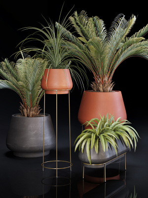 plants-collection-01-3d-model-max-obj-fbx-stl-mat