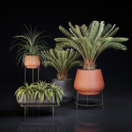 Plants Collection 01