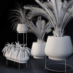 Plants Collection 01