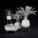 Plants Collection 01