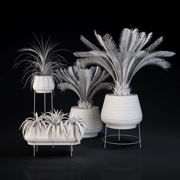 Plants Collection 01