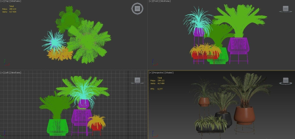 Plants Collection 01