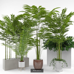 Plants collection 05