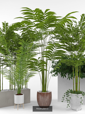 plants-collection-05-3d-model-max-obj-fbx-c4d-mat