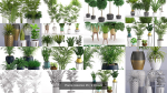 Plants collection 05
