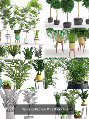 Plants collection 05