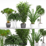 Plants collection 05