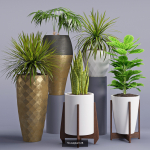 Plants collection 05