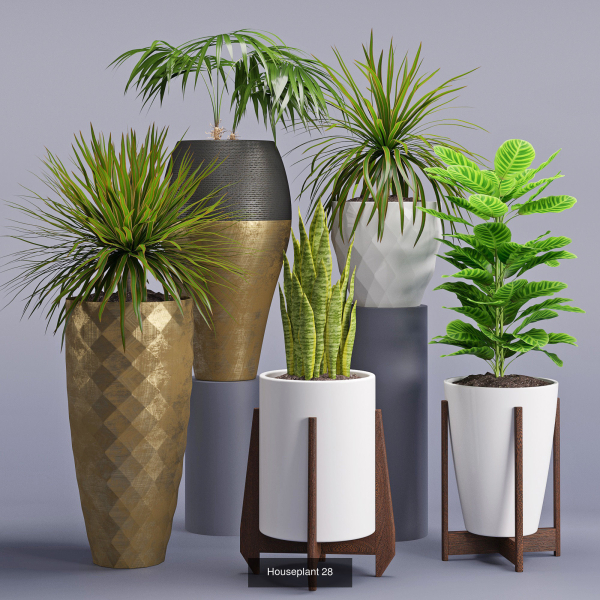 Plants collection 05
