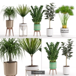 Plants collection 05