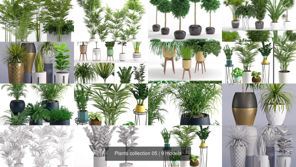 Plants collection 05