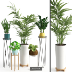 Plants collection 05