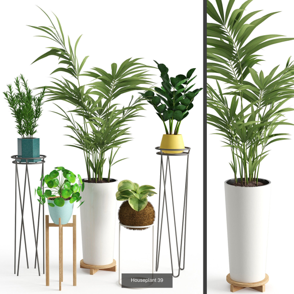 Plants collection 05