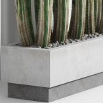 Plants collection 1000