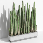 Plants collection 1000