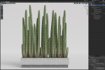 Plants collection 1000