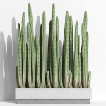 Plants collection 1000