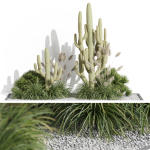 Plants collection 1001