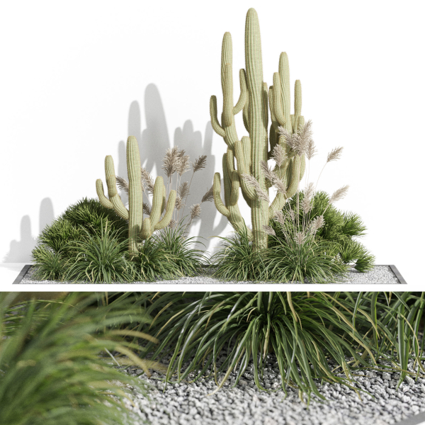 Plants collection 1001