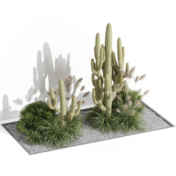 Plants collection 1001