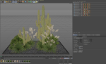 Plants collection 1001