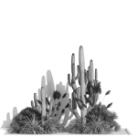 Plants collection 1001