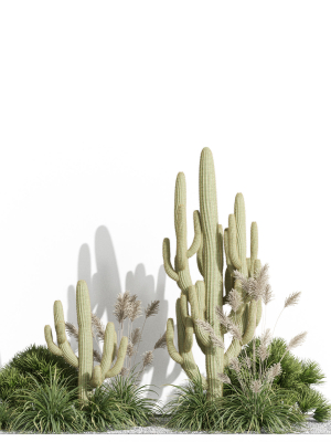 plants-collection-1001-3d-model-b528036e17