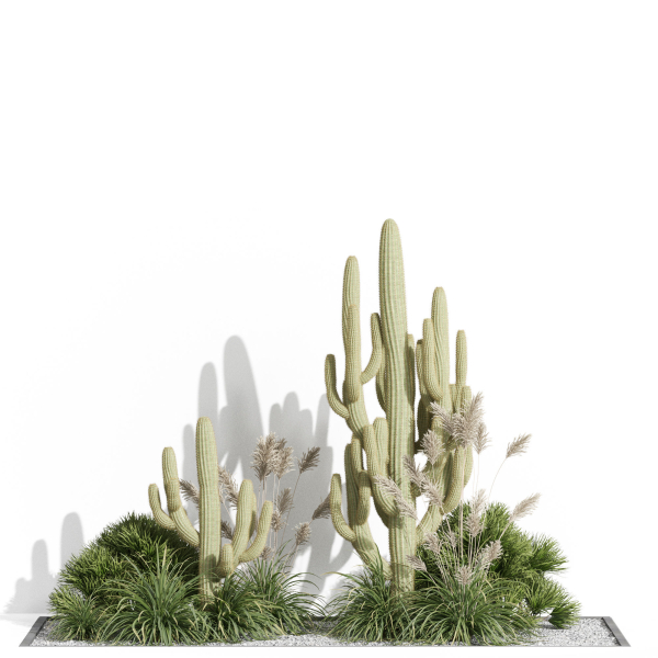 Plants collection 1001