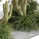 Plants collection 1001