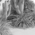 Plants collection 1001