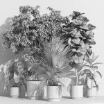 Plants collection 1002