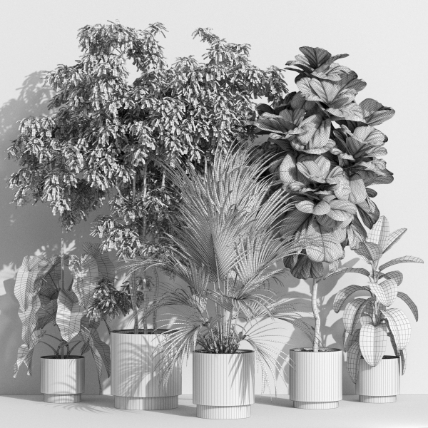 Plants collection 1002