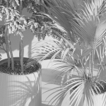 Plants collection 1002