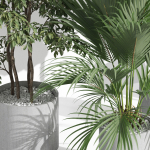 Plants collection 1002
