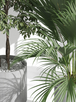plants-collection-1002-3d-model-4c893d0136