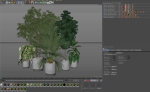 Plants collection 1002
