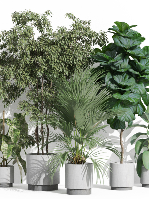 Plants collection 1002