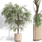 Plants collection 1003
