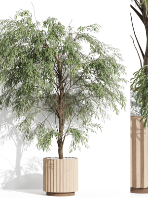 Plants collection 1003
