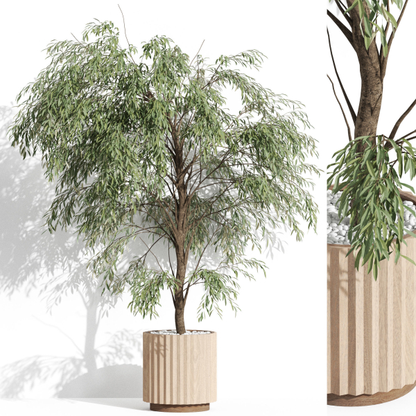Plants collection 1003