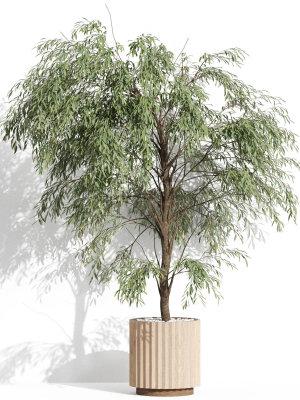 plants-collection-1003-3d-model-0a86301403