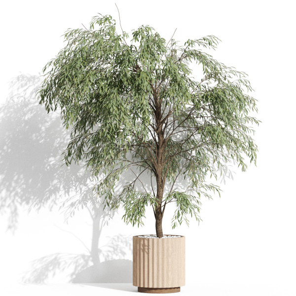 Plants collection 1003