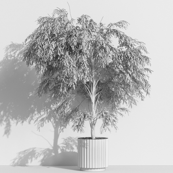 Plants collection 1003