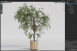 Plants collection 1003