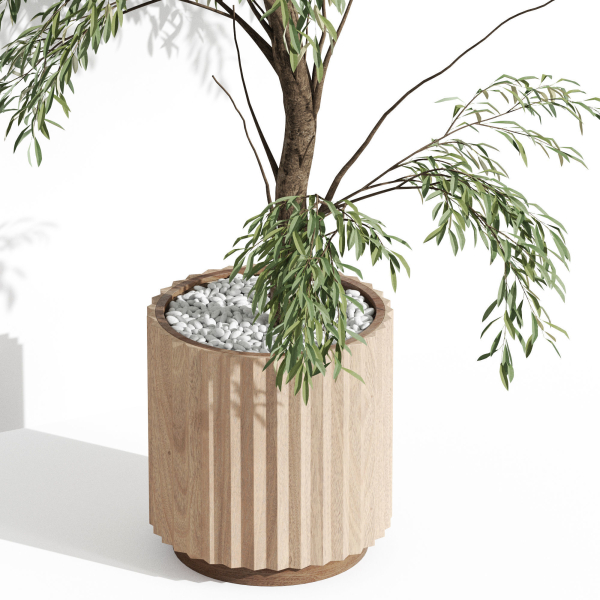 Plants collection 1003