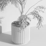 Plants collection 1003