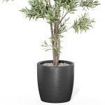 Plants collection 1004