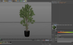 Plants collection 1004